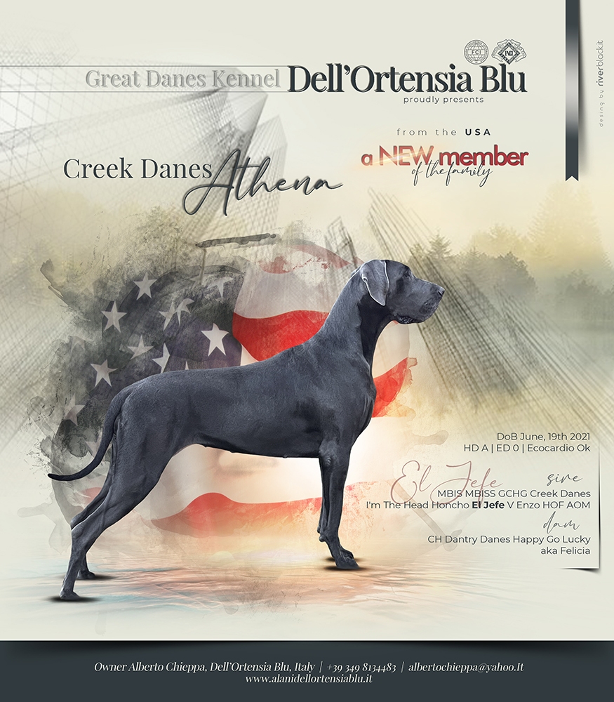 Creek Danes Athena